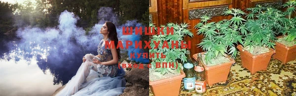 ALPHA PVP Алексин