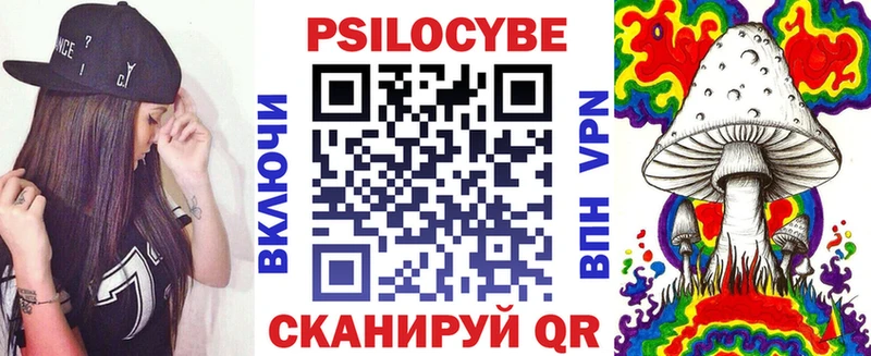 Псилоцибиновые грибы Cubensis где найти Осташков